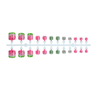 No.546 Watermelon Toenails Patch 24pcs/Set