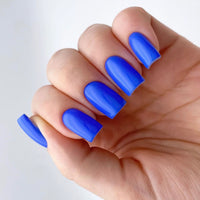 No.PSN121 Blue Hand & Toe Pair Set-48pcs